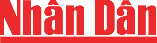 Đối tác truyền thông